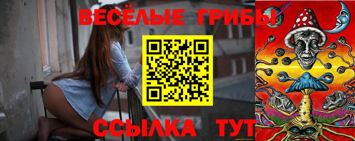Анжеро-Судженск  Псилоцибиновые грибы мухоморы  Вход с VPN  Псилоцибиновые грибы Psilocybe 